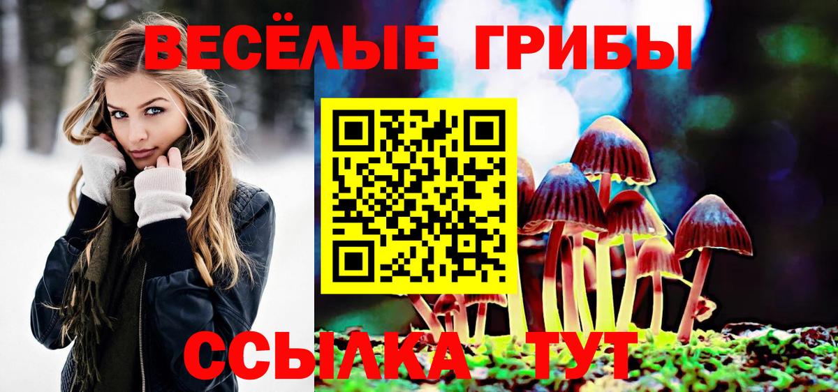 Псилоцибиновые грибы MAGIC MUSHROOMS  Псилоцибиновые грибы мухоморы  Ливны  Вход с VPN 