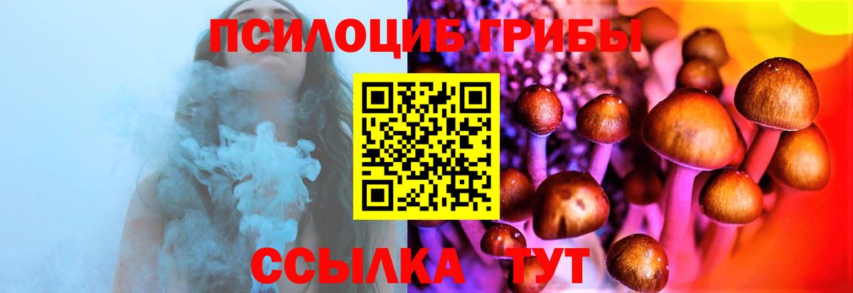 Галлюциногенные грибы Psilocybe Ливны