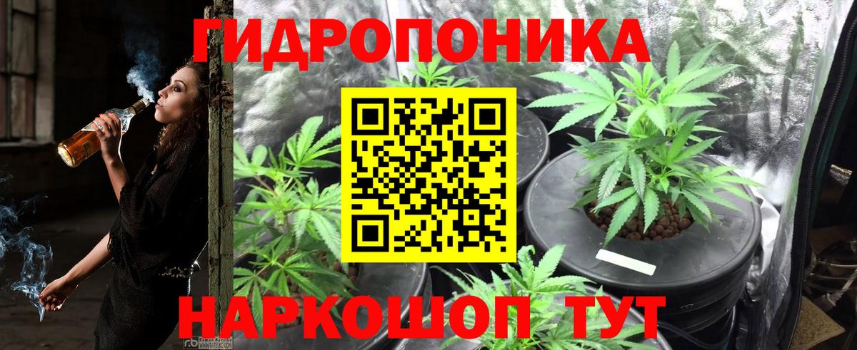 Ливны  Каннабис Amnesia  Вход с VPN  МАРИХУАНА White Widow  Канабис Amnesia 